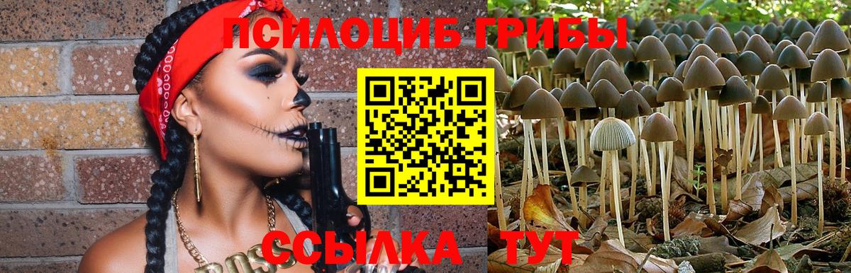 купить   Псилоцибиновые грибы мицелий  Галлюциногенные грибы MAGIC MUSHROOMS  Вход с VPN  Уфа 